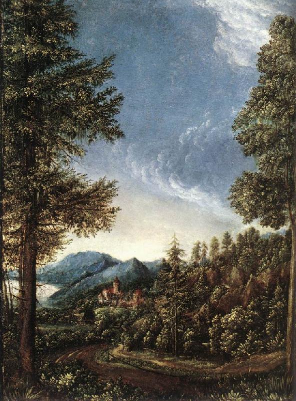 ALTDORFER, Albrecht Danubian Landscape g France oil painting art